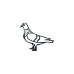 Radikale Töchter Design Call